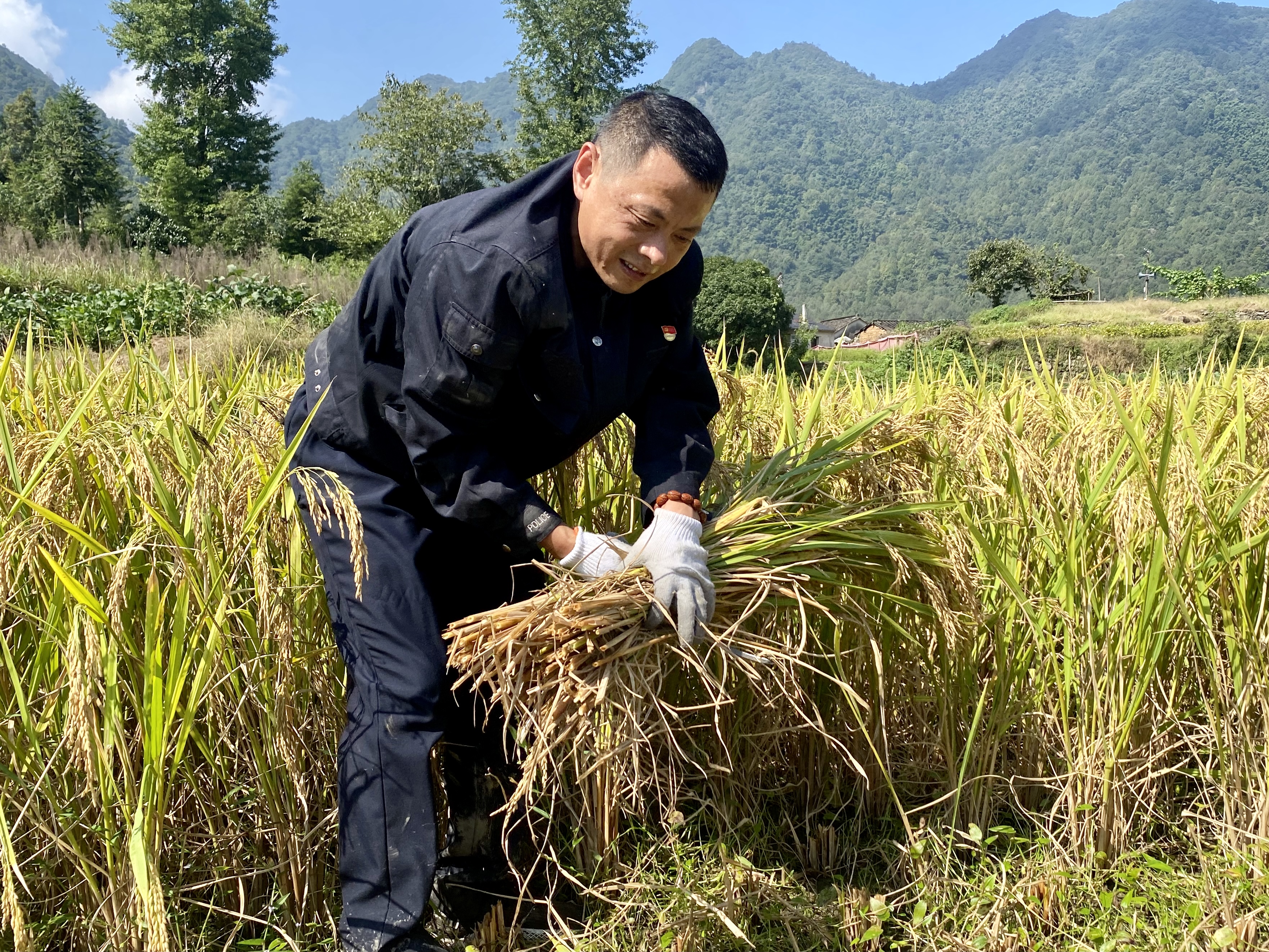 4 金秋助农助产 我为群众办实事.jpg