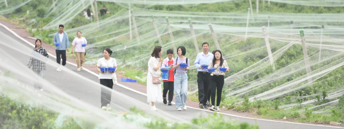 “万企兴万村”——安徽媒体&徽商企业家助力乡村振兴公益行走进这个县