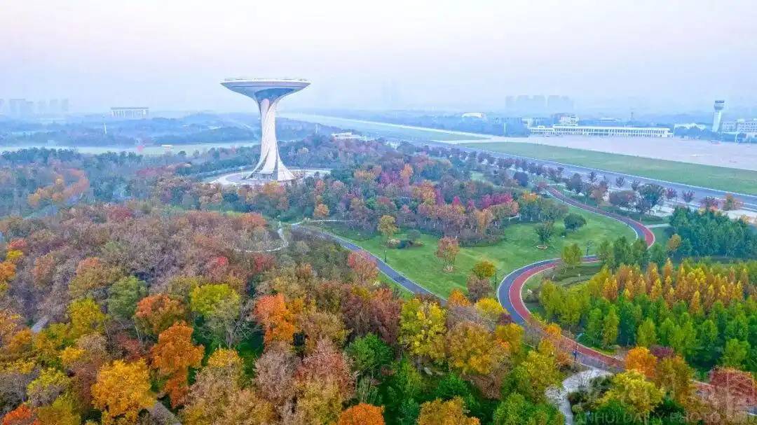 春晚合肥分会场，何以塑造安徽新形象？